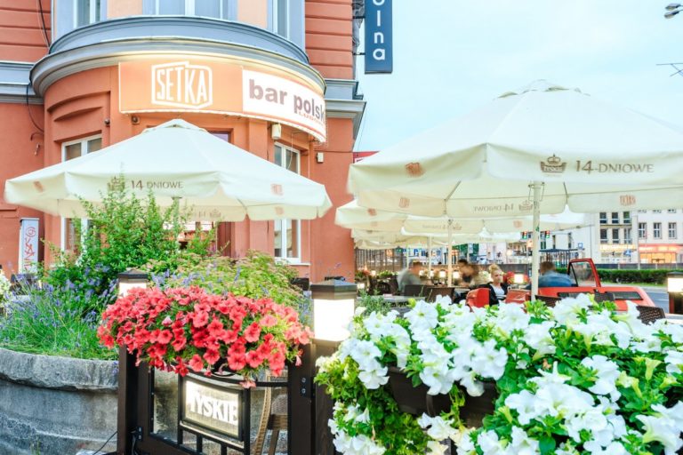 Setka wroclaw 007 jpg 768x512